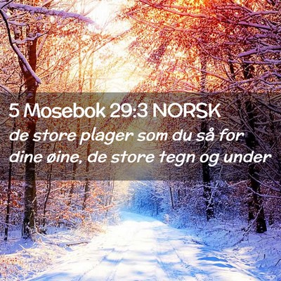 Picture 02 - 5 Mosebok 29:3 NORSK - de store plager som du så for dine øine, de - Bible Verse Picture