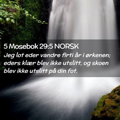 Picture 02 - 5 Mosebok 29:5 NORSK - Jeg lot eder vandre firti år i ørkenen; eders - Bible Verse Picture