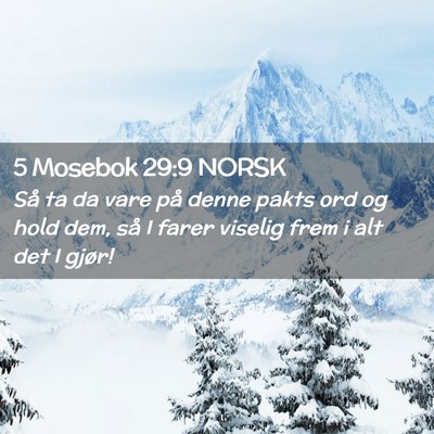 Picture 02 - 5 Mosebok 29:9 NORSK - Så ta da vare på denne pakts ord og hold dem, - Bible Verse Picture