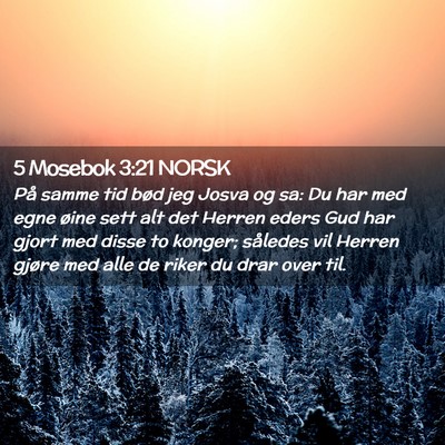 Picture 02 - 5 Mosebok 3:21 NORSK - På samme tid bød jeg Josva og sa: Du har med - Bible Verse Picture