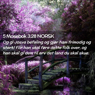 Picture 02 - 5 Mosebok 3:28 NORSK - Og gi Josva befaling og gjør ham frimodig og - Bible Verse Picture
