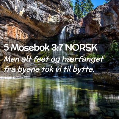 Picture 02 - 5 Mosebok 3:7 NORSK - Men alt feet og hærfanget fra byene tok vi til - Bible Verse Picture