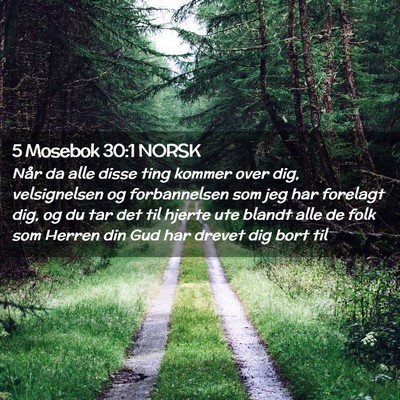 Picture 02 - 5 Mosebok 30:1 NORSK - Når da alle disse ting kommer over dig, - Bible Verse Picture