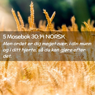 Picture 02 - 5 Mosebok 30:14 NORSK - Men ordet er dig meget nær, i din munn og i ditt - Bible Verse Picture