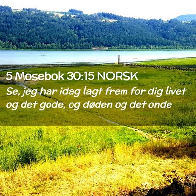 Picture 02 - 5 Mosebok 30:15 NORSK - Se, jeg har idag lagt frem for dig livet og det - Bible Verse Picture