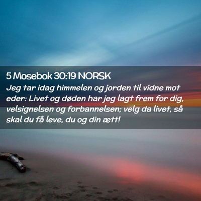 Picture 02 - 5 Mosebok 30:19 NORSK - Jeg tar idag himmelen og jorden til vidne mot - Bible Verse Picture