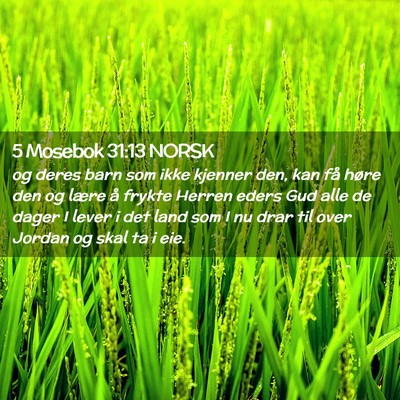 Picture 02 - 5 Mosebok 31:13 NORSK - og deres barn som ikke kjenner den, kan få høre - Bible Verse Picture