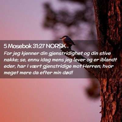 Picture 02 - 5 Mosebok 31:27 NORSK - For jeg kjenner din gjenstridighet og din stive - Bible Verse Picture