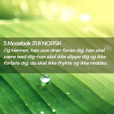 Picture 02 - 5 Mosebok 31:8 NORSK - Og Herren, han som drar foran dig, han skal være - Bible Verse Picture