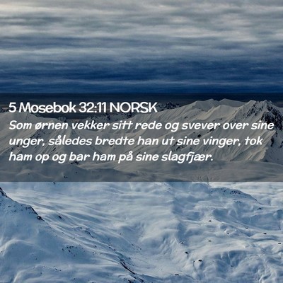 Picture 02 - 5 Mosebok 32:11 NORSK - Som ørnen vekker sitt rede og svever over sine - Bible Verse Picture