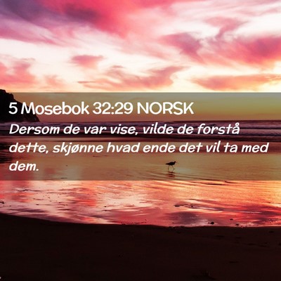 Picture 02 - 5 Mosebok 32:29 NORSK - Dersom de var vise, vilde de forstå dette, - Bible Verse Picture