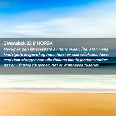 Picture 02 - 5 Mosebok 33:17 NORSK - Herlig er den førstefødte av hans okser, {de. - Bible Verse Picture