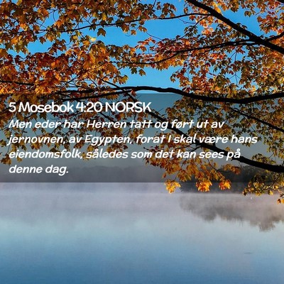 Picture 02 - 5 Mosebok 4:20 NORSK - Men eder har Herren tatt og ført ut av - Bible Verse Picture