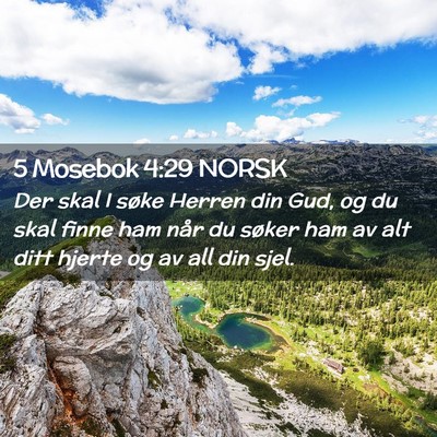 Picture 02 - 5 Mosebok 4:29 NORSK - Der skal I søke Herren din Gud, og du skal finne - Bible Verse Picture