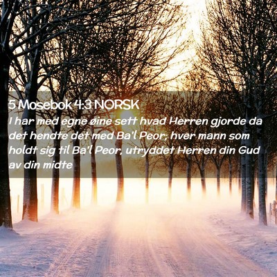 Picture 02 - 5 Mosebok 4:3 NORSK - I har med egne øine sett hvad Herren gjorde da - Bible Verse Picture