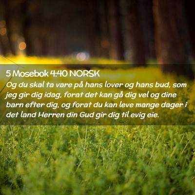 Picture 02 - 5 Mosebok 4:40 NORSK - Og du skal ta vare på hans lover og hans bud, - Bible Verse Picture