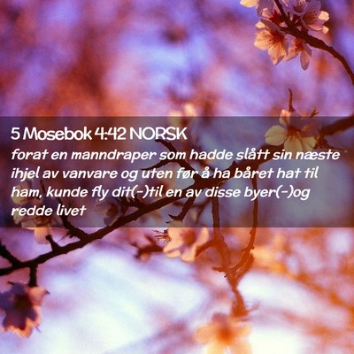 Picture 02 - 5 Mosebok 4:42 NORSK - forat en manndraper som hadde slått sin næste - Bible Verse Picture