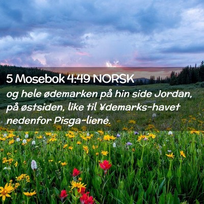 Picture 02 - 5 Mosebok 4:49 NORSK - og hele ødemarken på hin side Jordan, på - Bible Verse Picture