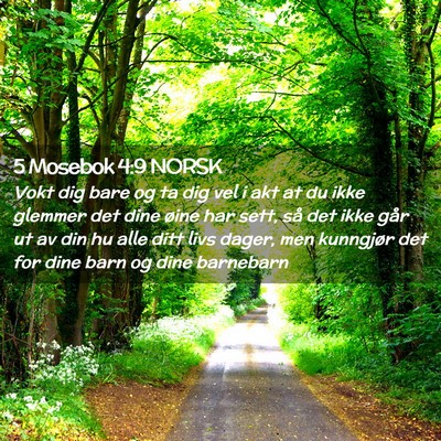 Picture 02 - 5 Mosebok 4:9 NORSK - Vokt dig bare og ta dig vel i akt at du ikke - Bible Verse Picture