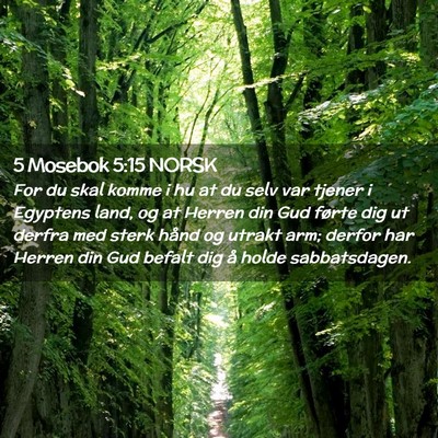 Picture 02 - 5 Mosebok 5:15 NORSK - For du skal komme i hu at du selv var tjener i - Bible Verse Picture
