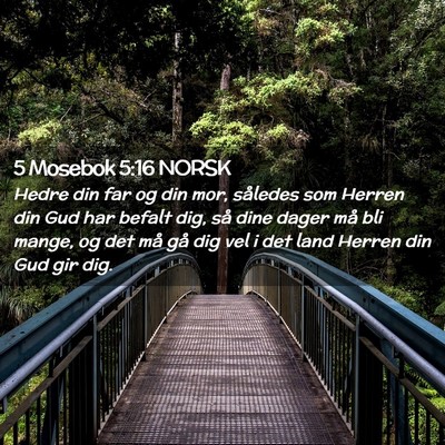 Picture 02 - 5 Mosebok 5:16 NORSK - Hedre din far og din mor, således som Herren din - Bible Verse Picture