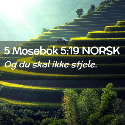 Picture 02 - 5 Mosebok 5:19 NORSK - Og du skal ikke - Bible Verse Picture
