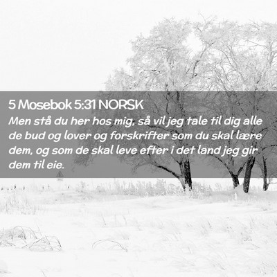 Picture 02 - 5 Mosebok 5:31 NORSK - Men stå du her hos mig, så vil jeg tale til dig - Bible Verse Picture