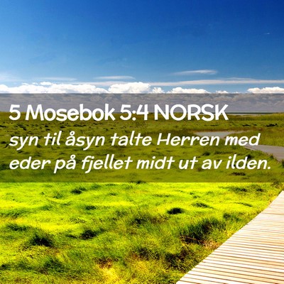Picture 02 - 5 Mosebok 5:4 NORSK - syn til åsyn talte Herren med eder på fjellet - Bible Verse Picture