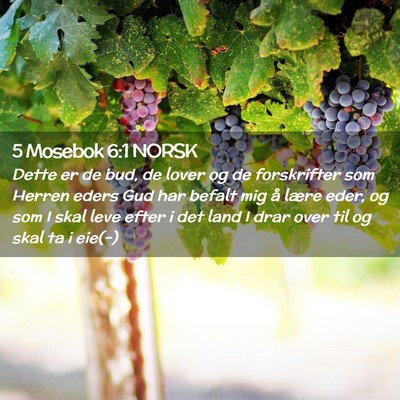 Picture 02 - 5 Mosebok 6:1 NORSK - Dette er de bud, de lover og de forskrifter som - Bible Verse Picture