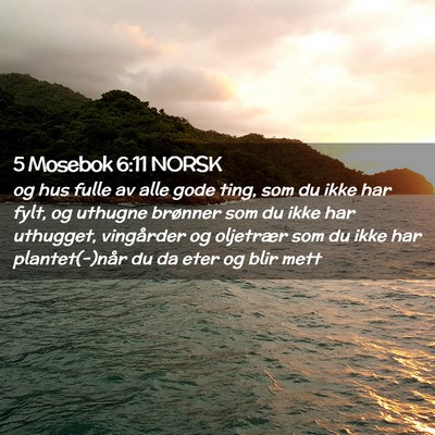 Picture 02 - 5 Mosebok 6:11 NORSK - og hus fulle av alle gode ting, som du ikke har - Bible Verse Picture