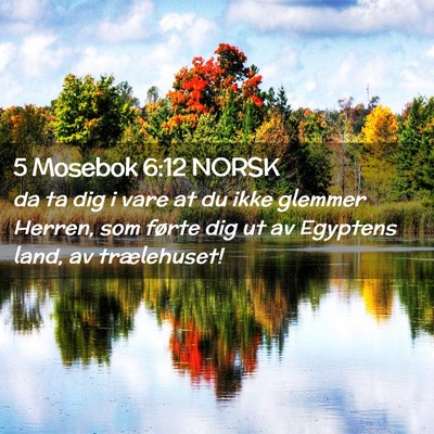 Picture 02 - 5 Mosebok 6:12 NORSK - da ta dig i vare at du ikke glemmer Herren, som - Bible Verse Picture