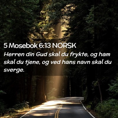 Picture 02 - 5 Mosebok 6:13 NORSK - Herren din Gud skal du frykte, og ham skal du - Bible Verse Picture