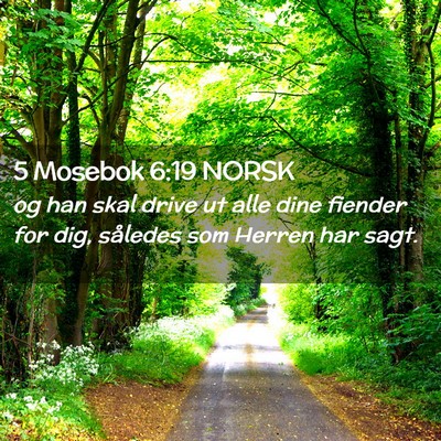 Picture 02 - 5 Mosebok 6:19 NORSK - og han skal drive ut alle dine fiender for dig, - Bible Verse Picture