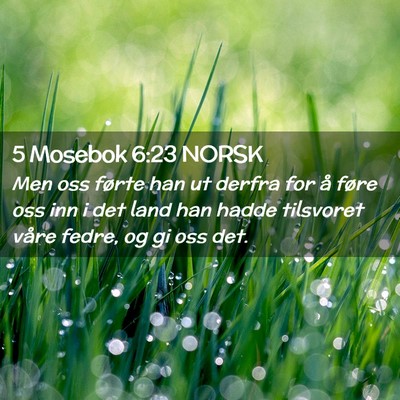 Picture 02 - 5 Mosebok 6:23 NORSK - Men oss førte han ut derfra for å føre oss inn - Bible Verse Picture