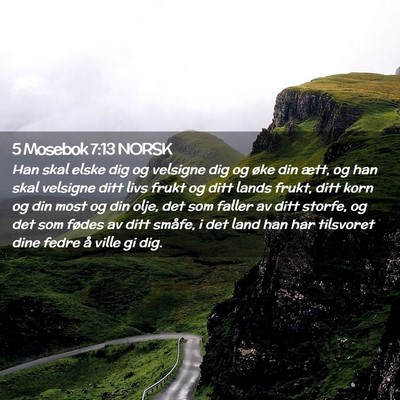 Picture 02 - 5 Mosebok 7:13 NORSK - Han skal elske dig og velsigne dig og øke din - Bible Verse Picture