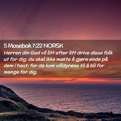 Picture 02 - 5 Mosebok 7:22 NORSK - Herren din Gud vil litt efter litt drive disse - Bible Verse Picture