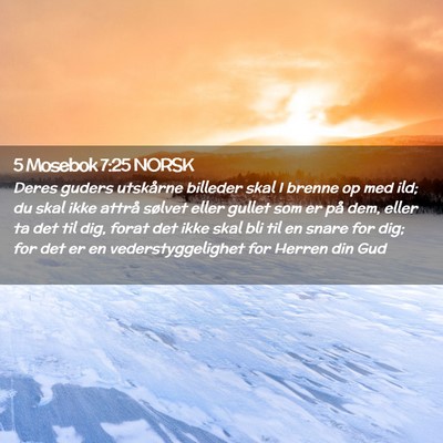 Picture 02 - 5 Mosebok 7:25 NORSK - Deres guders utskårne billeder skal I brenne op - Bible Verse Picture