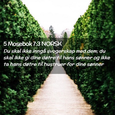 Picture 02 - 5 Mosebok 7:3 NORSK - Du skal ikke inngå svogerskap med dem; du skal - Bible Verse Picture