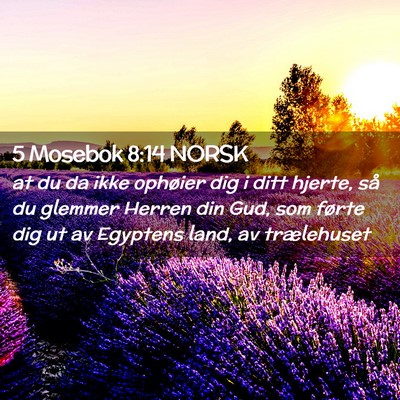 Picture 02 - 5 Mosebok 8:14 NORSK - at du da ikke ophøier dig i ditt hjerte, så du - Bible Verse Picture