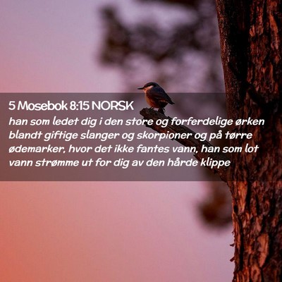 Picture 02 - 5 Mosebok 8:15 NORSK - han som ledet dig i den store og forferdelige - Bible Verse Picture