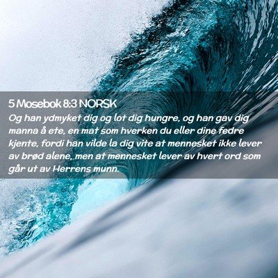 Picture 02 - 5 Mosebok 8:3 NORSK - Og han ydmyket dig og lot dig hungre, og han gav - Bible Verse Picture