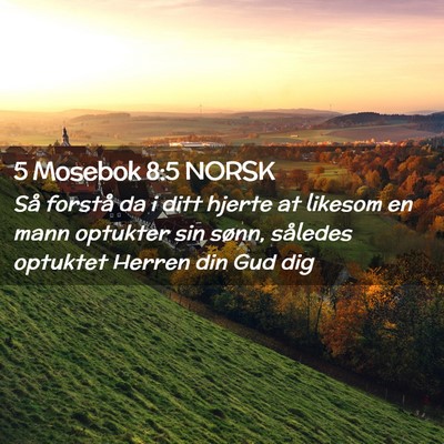 Picture 02 - 5 Mosebok 8:5 NORSK - Så forstå da i ditt hjerte at likesom en mann - Bible Verse Picture