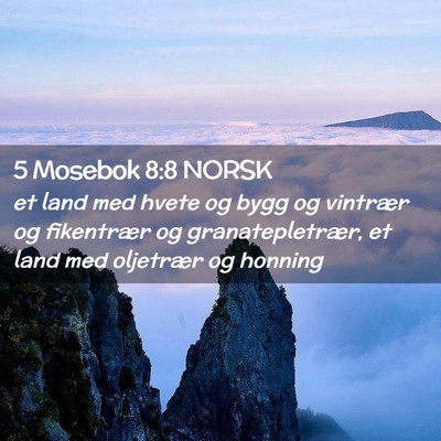 Picture 02 - 5 Mosebok 8:8 NORSK - et land med hvete og bygg og vintrær og - Bible Verse Picture