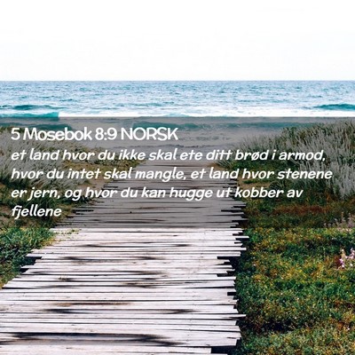 Picture 02 - 5 Mosebok 8:9 NORSK - et land hvor du ikke skal ete ditt brød i armod, - Bible Verse Picture