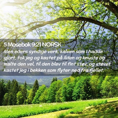 Picture 02 - 5 Mosebok 9:21 NORSK - Men eders syndige verk, kalven som I hadde gjort, - Bible Verse Picture