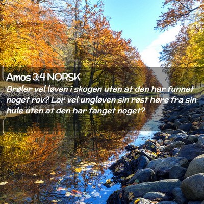 Picture 02 - Amos 3:4 NORSK - Brøler vel løven i skogen uten at den har - Bible Verse Picture