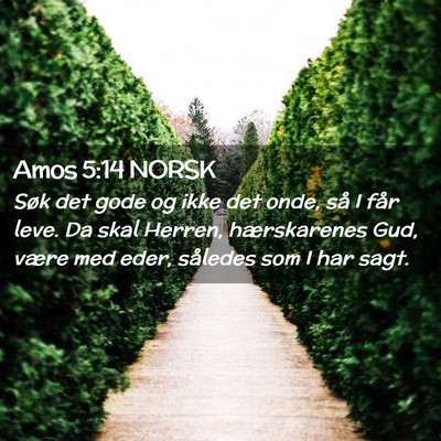 Picture 02 - Amos 5:14 NORSK - Søk det gode og ikke det onde, så I får leve. - Bible Verse Picture