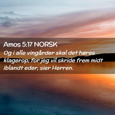 Picture 02 - Amos 5:17 NORSK - Og i alle vingårder skal det høres klagerop; - Bible Verse Picture