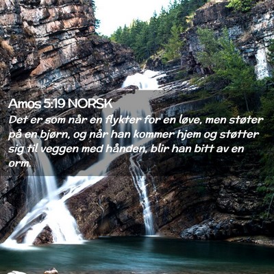 Picture 02 - Amos 5:19 NORSK - Det er som når en flykter for en løve, men - Bible Verse Picture