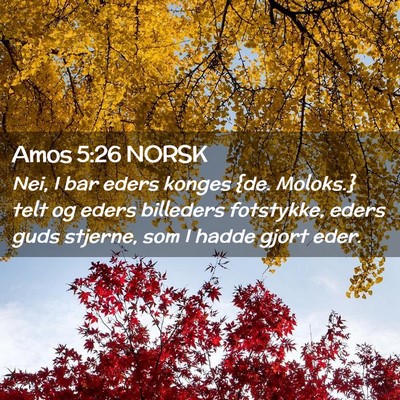 Picture 02 - Amos 5:26 NORSK - Nei, I bar eders konges {de. Moloks.} telt og - Bible Verse Picture